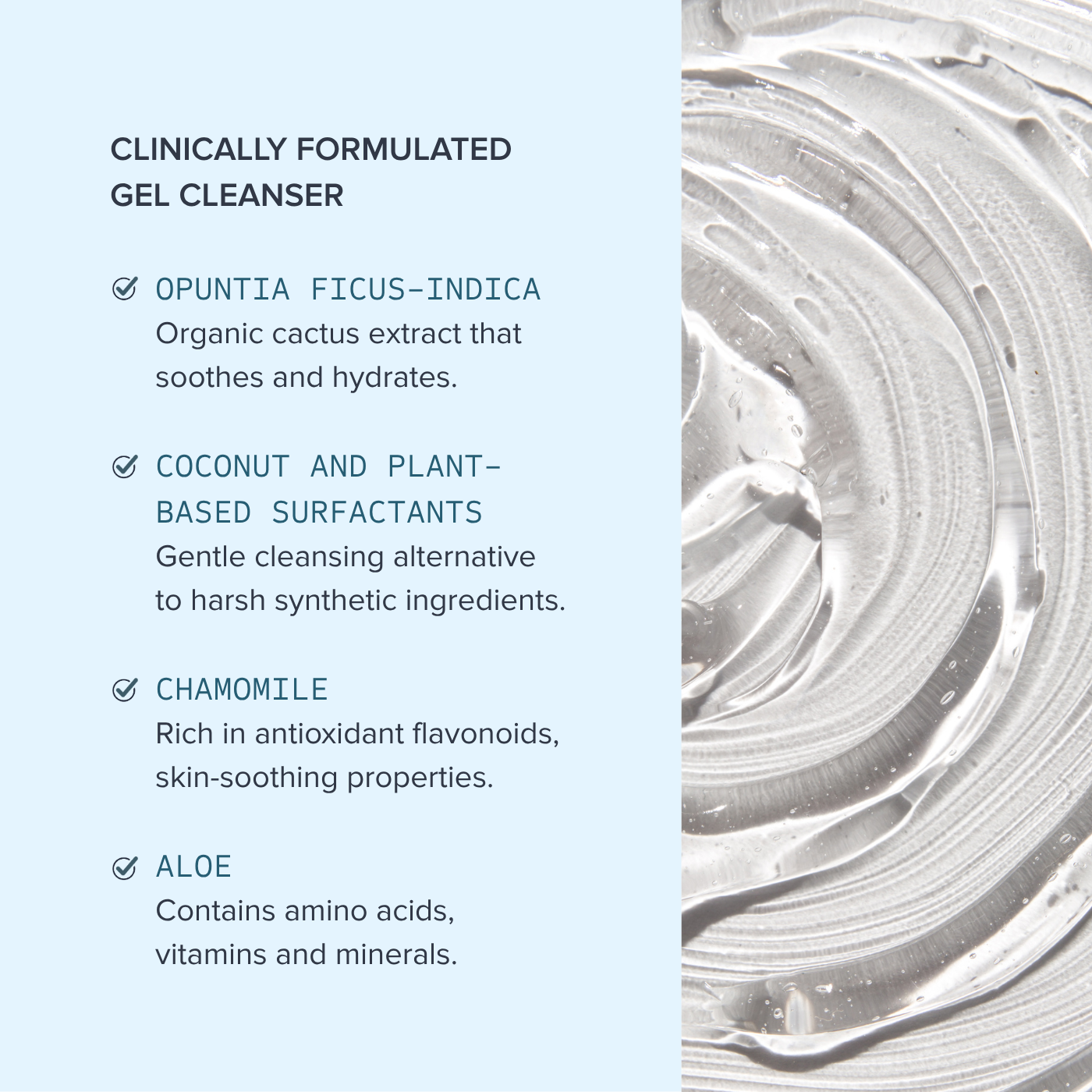 Purifying Gel Cleanser
